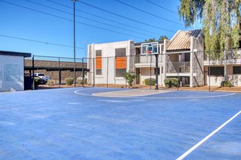 Basketball court